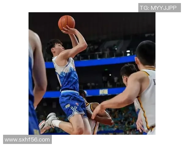 2017年CBA福建队与辽宁队激战回顾精彩瞬间与赛场亮点分析